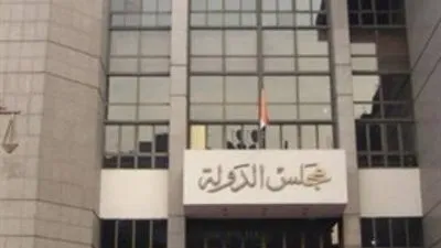 الإدارية العليا تقضي باستمرار فرض رسوم على واردات 