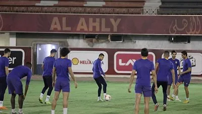 رينيه فايلر يؤجل صفقات الأهلي