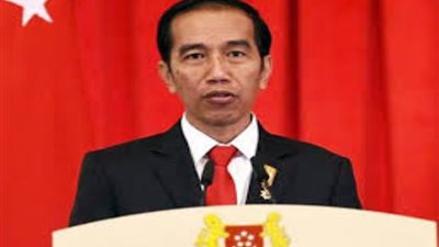 إندونيسيا تكمل شبكة الألياف البصرية لتوصيل الإنترنت إلى الشرق البعيد