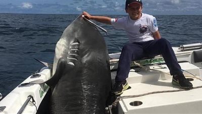 حملة انتقادات واسعة لطفل قام باصطياد سمكة قرش طولها 7.3 متر