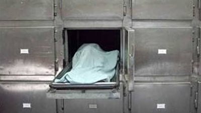 سقوط طفلة من الطابق السابع ببولاق الدكرور