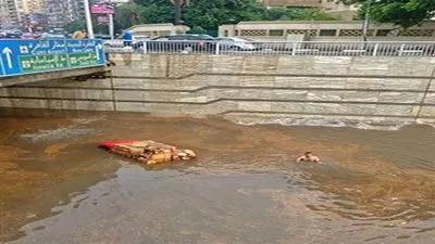 إغلاق نفق العروبة في الاتجاهين بعد غرقه بسبب الأمطار