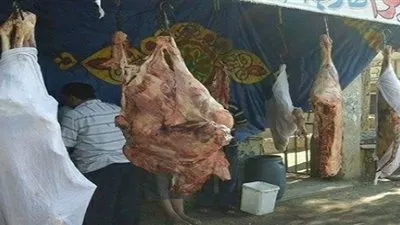 اسعار اللحوم اليوم الجمعة 25-10-2019 .. والجملي يسجل 100 جنيهًا