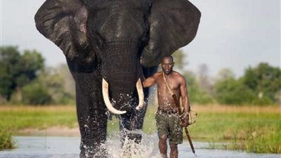 الهيئة العامة للترفيه: أضخم الحيوانات النادرة يصل إلى موسم الرياض