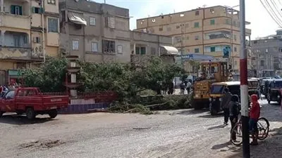 رياح شديدة وسقوط عامود إنارة وشجرة في دمياط 