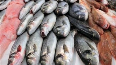اسعار الاسماك اليوم السبت 26-10-2019 في سوق العبور.. تراجع طفيف في سعر الجمبري 