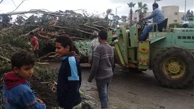 إصابة ٣ أشخاص بسبب الطقس السئ  في الدقهلية 