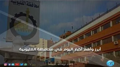 القليوبية اليوم.. تسليم شباب الباحثين عقود تمويل المشروعات.. وتحسن ملحوظ في أحوال الطقس 