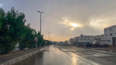 الأرصاد تحذر من الشبورة المائية على الطرق