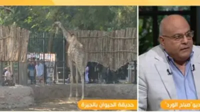 من مليون لـ3.. مدير حديقة الحيوان يكشف أسعار الحيوانات 