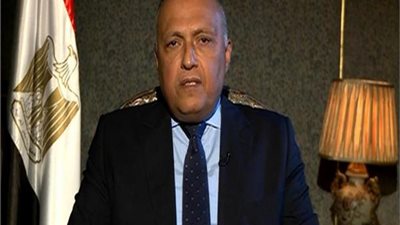 وزير الخارجية يكشف آخر تطورات أزمة سد النهضة