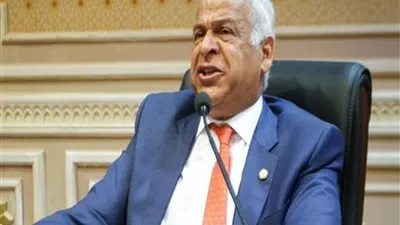 بعد حديث الرئيس.. برلماني يهدد بسحب الثقة من وزير الري بسبب 