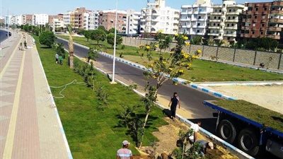 نائب محافظ السويس يتابع أعمال المسطحات الخضراء وتدعيم الإنارة العامة على الطرق (صور)