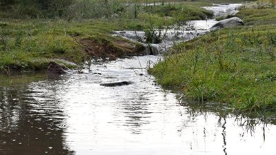 الأرصاد تحذر: أمطار رعدية تسقط على جازان اليوم