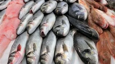 أسعار الأسماك اليوم الأحد 3-11-2019.. استقرار ملحوظ مع بداية تعاملات الاسبوع