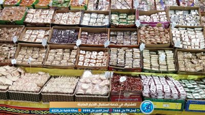 السياح يشاركون المصريين احتفالات المولد النبوي الشريف بالغردقة (فيديو وصور) 