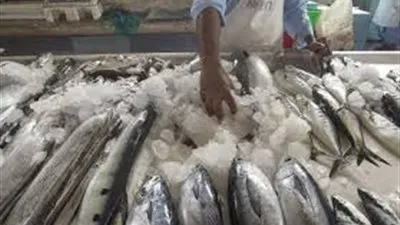 اسعار الاسماك اليوم الثلاثاء 5-11-2019 في سوق العبور.. البلطى والمكرونة يستقران