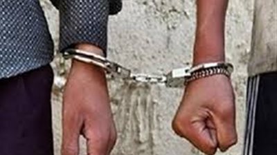 بعد إخلاء سبيلها.. تجديد حبس حبيب 