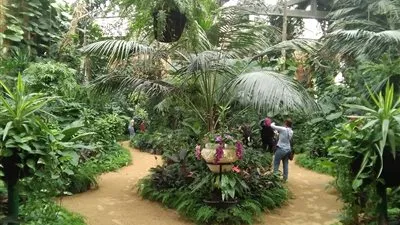 بناها الملك وكانت للزيارات الرسمية.. تعرف على الصوبة الملكية المقرر فتحها للجمهور بحدائق المنتزه