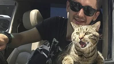 بسبب الوزن الزائد.. خطوط الطيران الروسية تمنع قط من السفر مع صاحبه