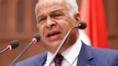 فرج عامر: احتياطات 