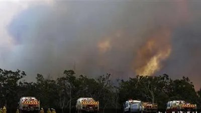 أكبر المدن الأسترالية.. حرائق الغابات تقترب من سيدني