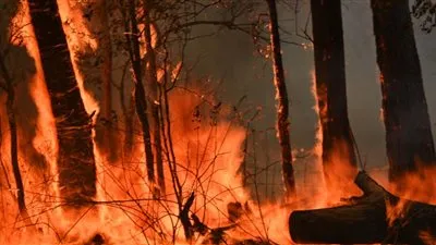 تحطم طائرة هليكوبتر خلال عملية مكافحة حرائق الغابات في أستراليا