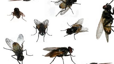 كواليس رحلة 