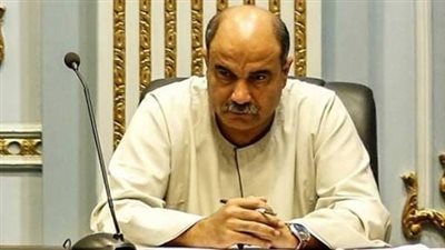 رائف تمراز: التاريخ سجل نضال زعماء الوفد ضد المحتل