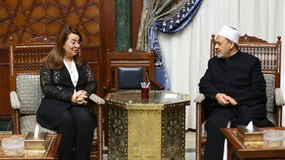 وزيرة التضامن تطلب دعم الأزهر لتشجيع الأسر على كفالة الأطفال مجهولي النسب