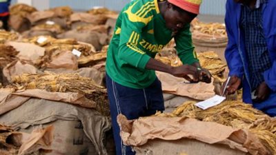 الأمم المتحدة توفر مساعدات غذائية لـ 4.1 مليون شخص في زيمبابوي