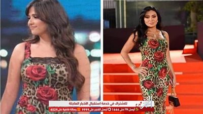 رانيا يوسف تقع في فخ التقليد وتظهر بنفس فستان هذه الفنانة (صورة)