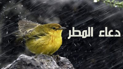 أمطار تضرب القاهرة.. تعرف على أدعية المطر التي دعا بها الرسول