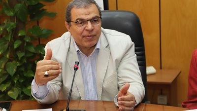 رفع إيقاف نشاط 3 شركات لإلحاق العمالة بالخارج