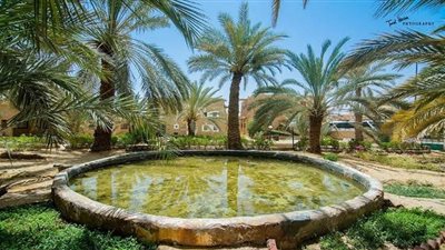 30 % من إنتاجها مخصص للتصدير.. 