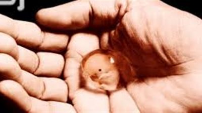 حكم إسقاط الجنين قبل نفخ الروح فيه