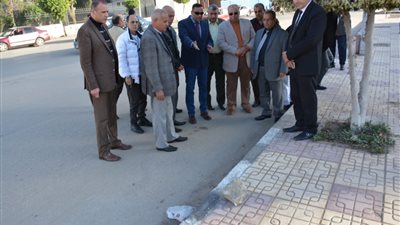محافظ الدقهلية يصطحب رؤساء المراكز في جولة سيرًا على الأقدام