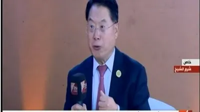 الأمم المتحدة: 