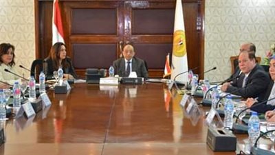 تفاصيل إنشاء مجزر ألي ضخم بدمياط (صور)