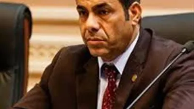 برلماني يكشف موعد صدور قانون الأحوال الشخصية (فيديو)