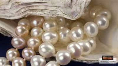 10 مليار درهم إيرادات ابو ظبي من تجارة  اللؤلؤ والأحجار الكريمة