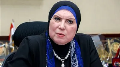 التعديل الوزاري| من هي نيفين جامع المرشحة لحقيبة الصناعة والتجارة؟