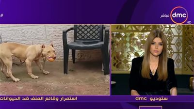 إيمان الحصري توجه رسالة نارية لقاتلي 