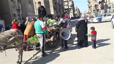 محافظ الإسكندرية يصدر قرارا بمنع مكبرات صوت الباعة الجائلين