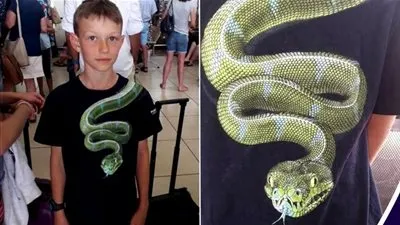 ثعبان يمنع طفل من صعود طائرة ورد فعل غريب من سلطات المطار