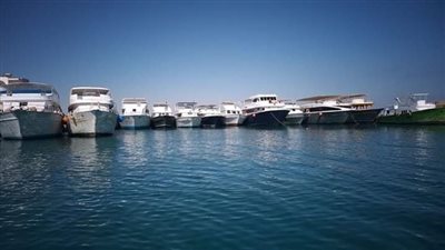 اعتراضا على قرار البيئة.. أصحاب المراكب بالغردقة يعلقون الإقلاع