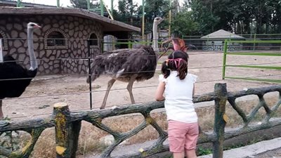  خبر سار من وزارة الزراعة بمناسبة عيد الميلاد