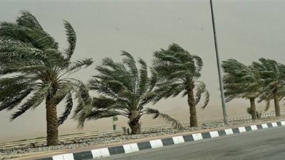 الأرصاد تُحذر من طقس الغد: أمطار ورياح تصل لحد 