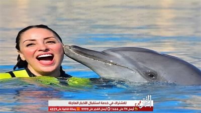 شاهد.. نرمين الفقي تقع في حب وغرام الدولفين