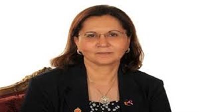  استاذ اقتصاد: 